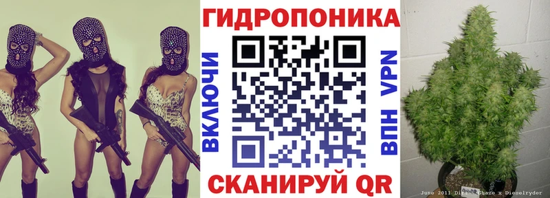 Конопля семена  Андреаполь 